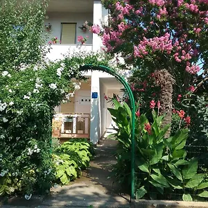 Mirjana Apartment Fažana
